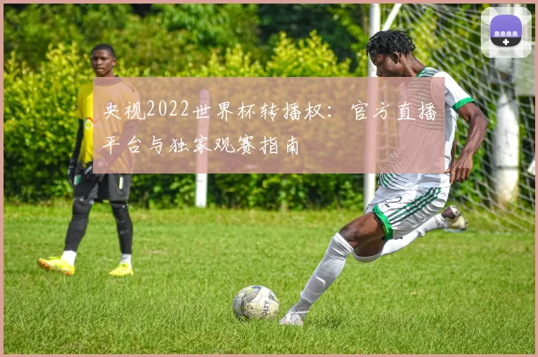 央视2022世界杯转播权：官方直播平台与独家观赛指南