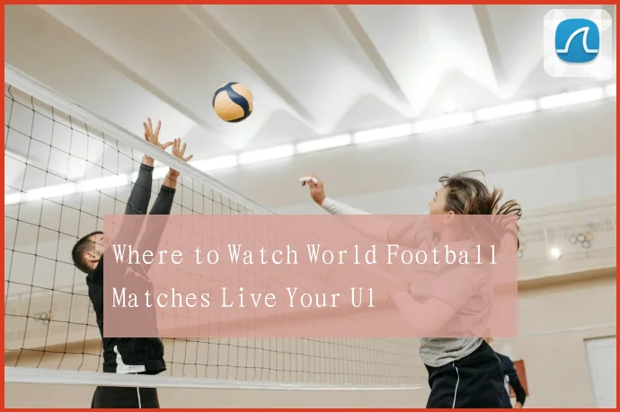 Where to Watch World Football Matches Live Your Ul